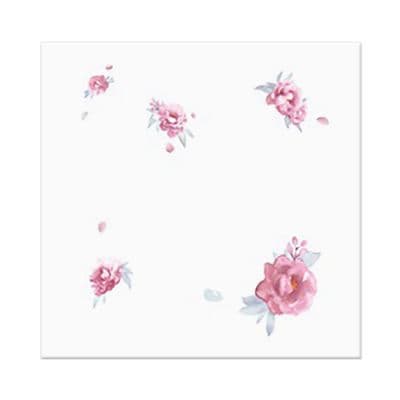 Proclean Pink Lobe GYPROC Size 60 x 60 x 0.8 cm (Box 10 Pcs.) White - Pink